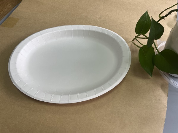 7-9 White Paper Plate